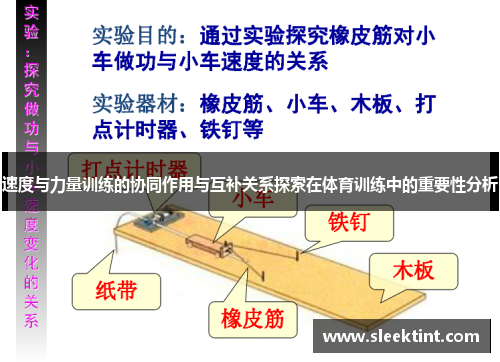 速度与力量训练的协同作用与互补关系探索在体育训练中的重要性分析