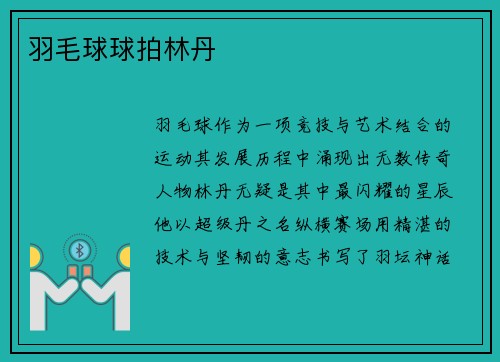 羽毛球球拍林丹